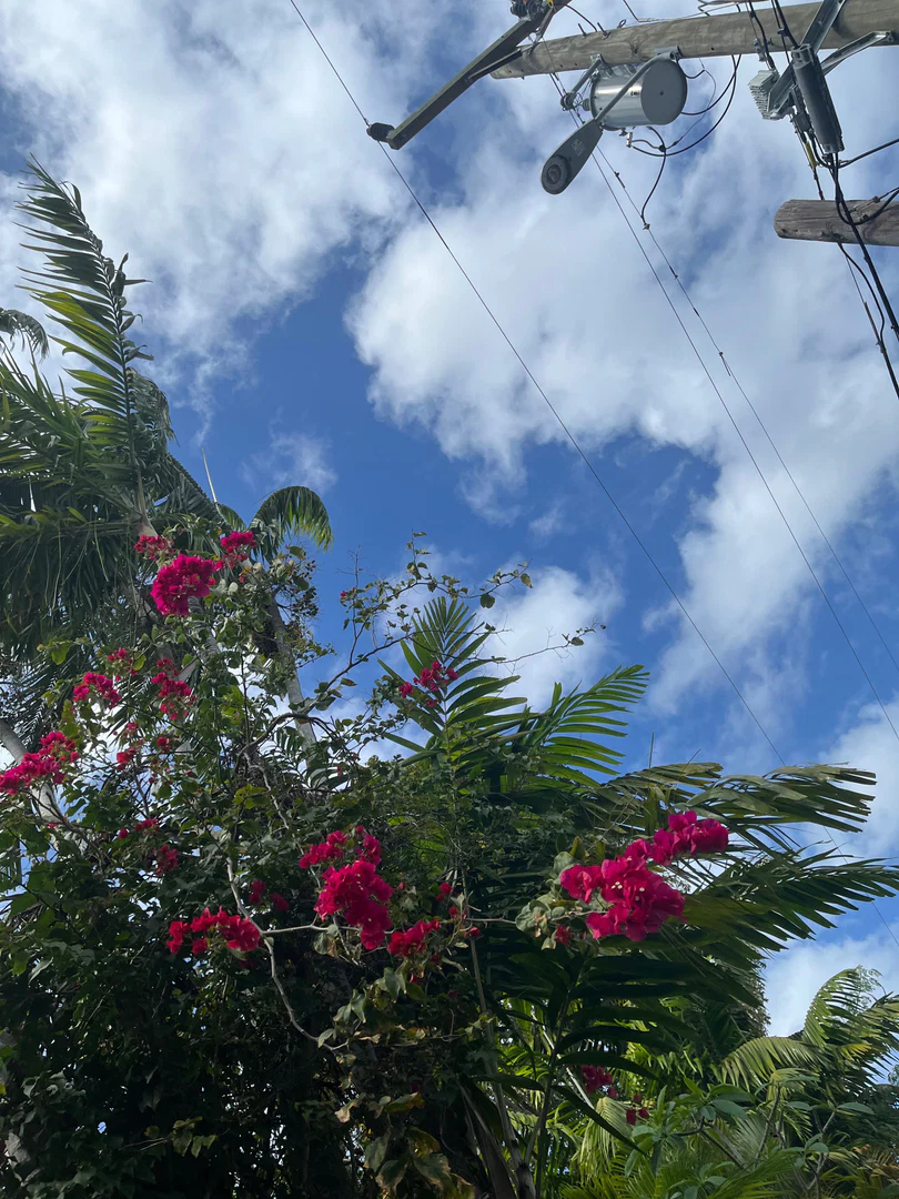 BbyRoxy profile banner