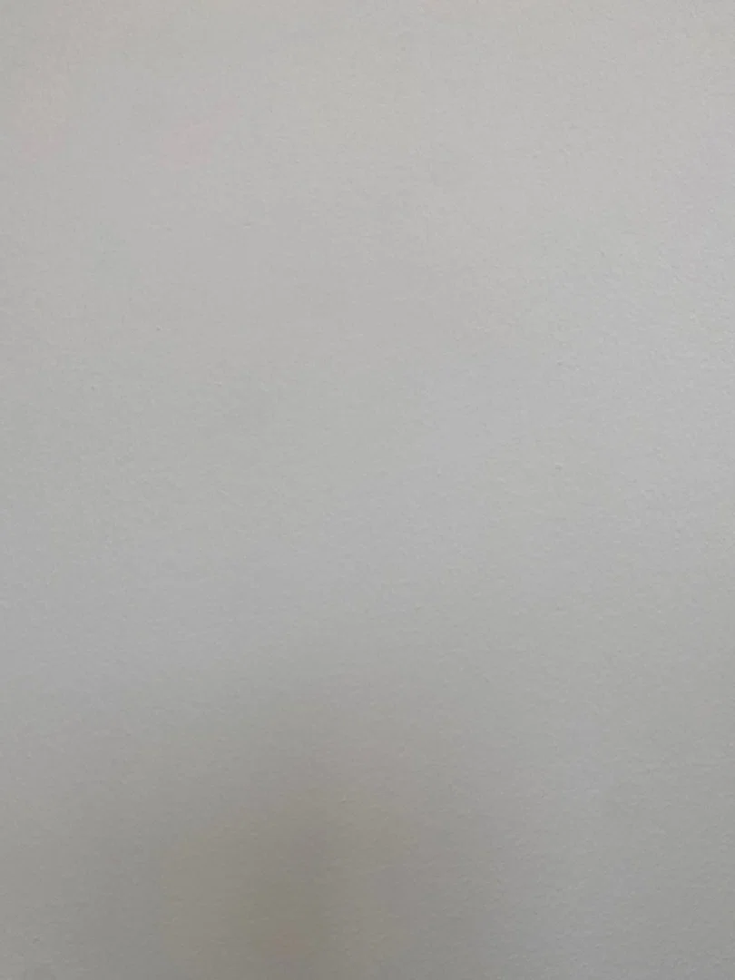 Sandrag profile banner
