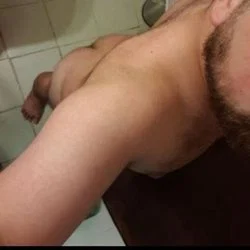 Greek Scandalous Bear's avatar