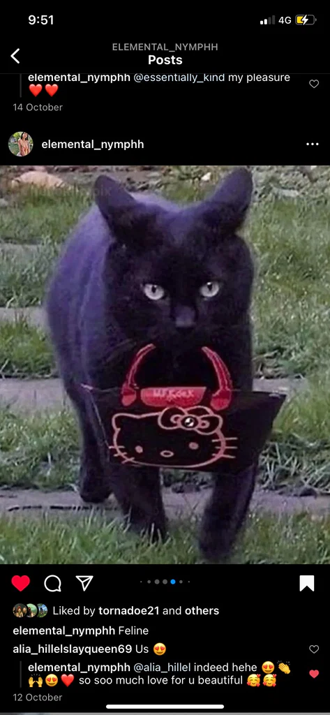 Blackkittycakes 🍑's avatar