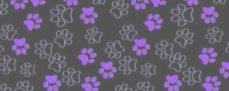 Rain profile banner