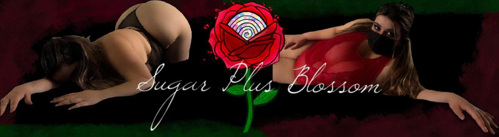 Sugar PLUS Blossom profile banner