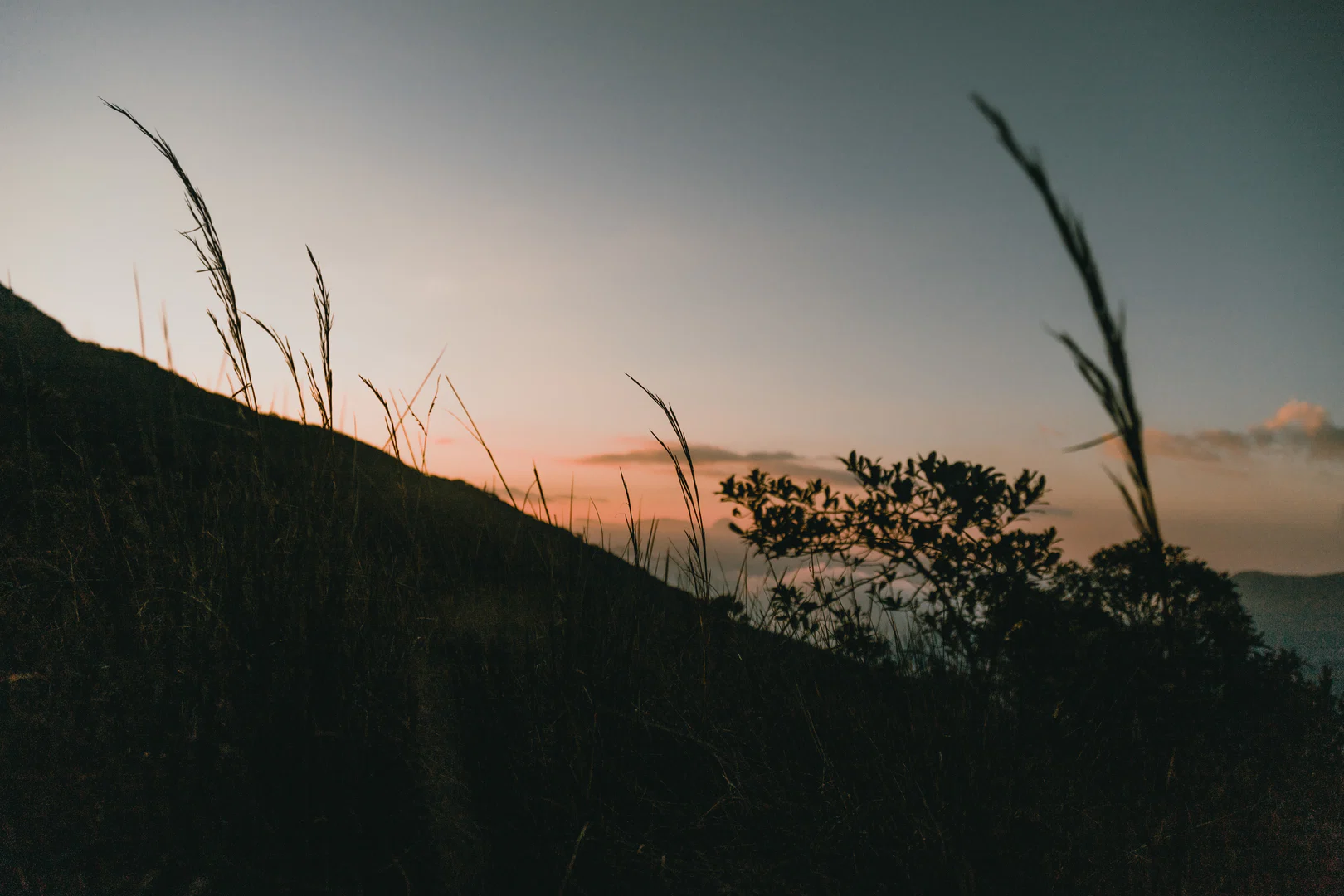 Satanaries profile banner