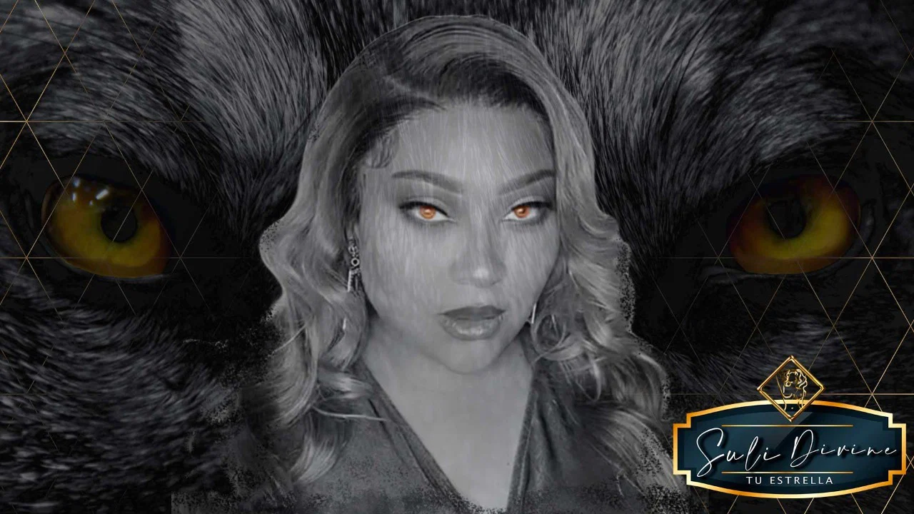 Suli Divine profile banner