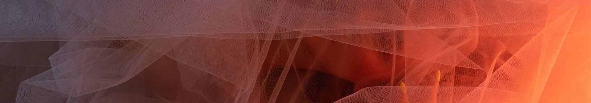 DreamscomeFree profile banner