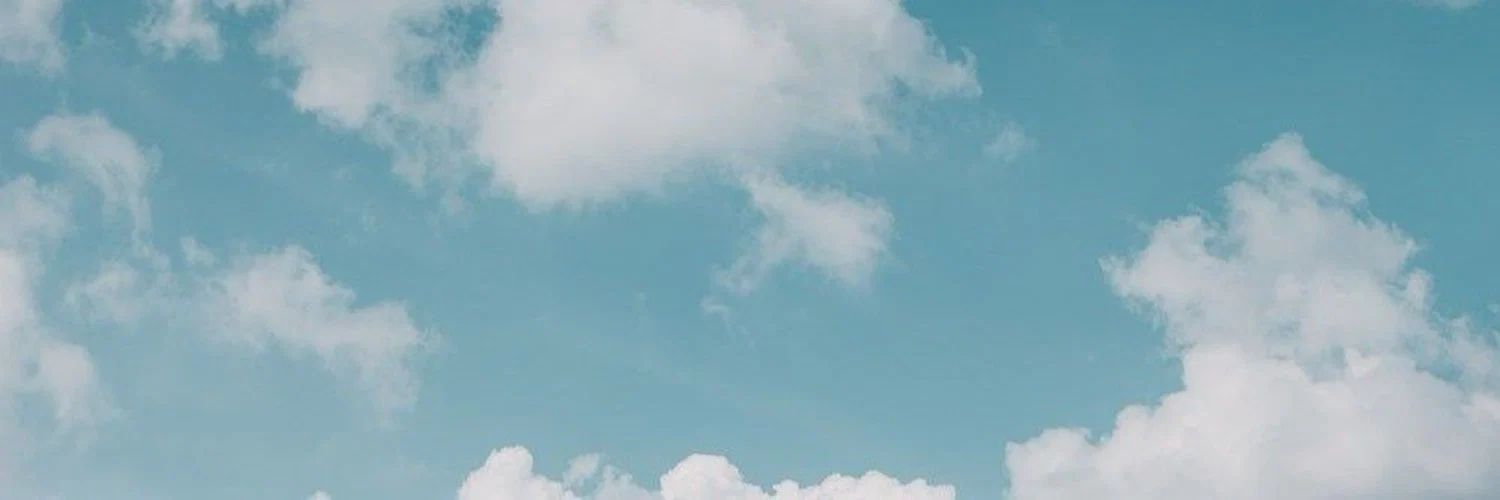 Babyboy :: NSFR profile banner