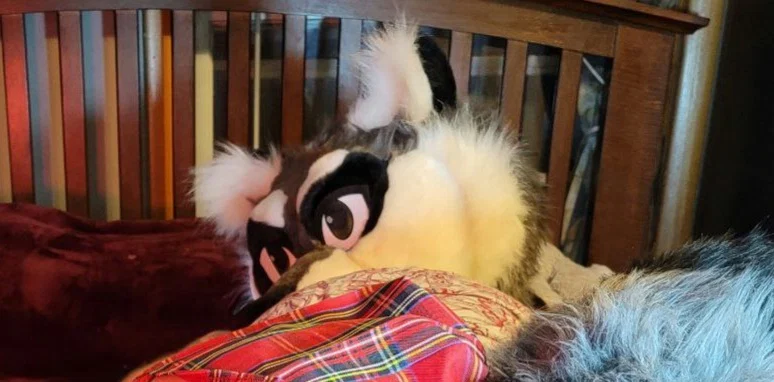snarkyraccoonx's avatar