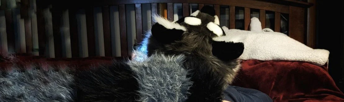 snarkyraccoonx profile banner