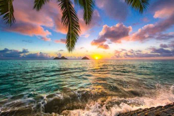 Fit & Fun Haole profile banner