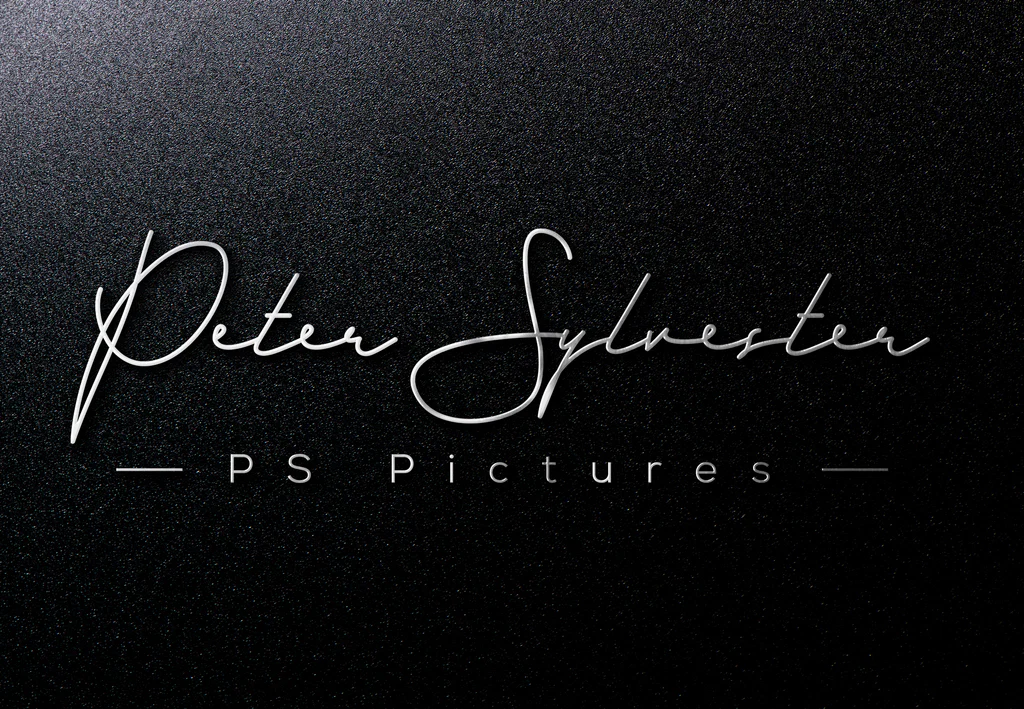 P.S. Pictures