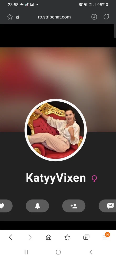 Katyy vixen profile banner