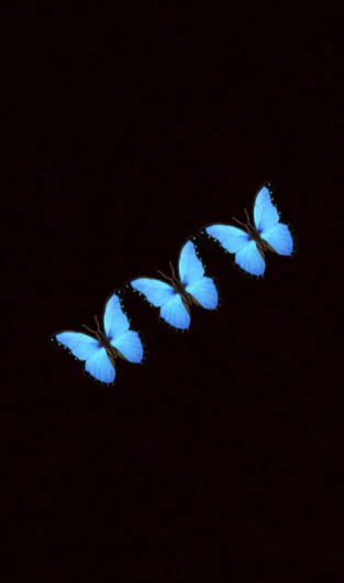 CrissiDee profile banner