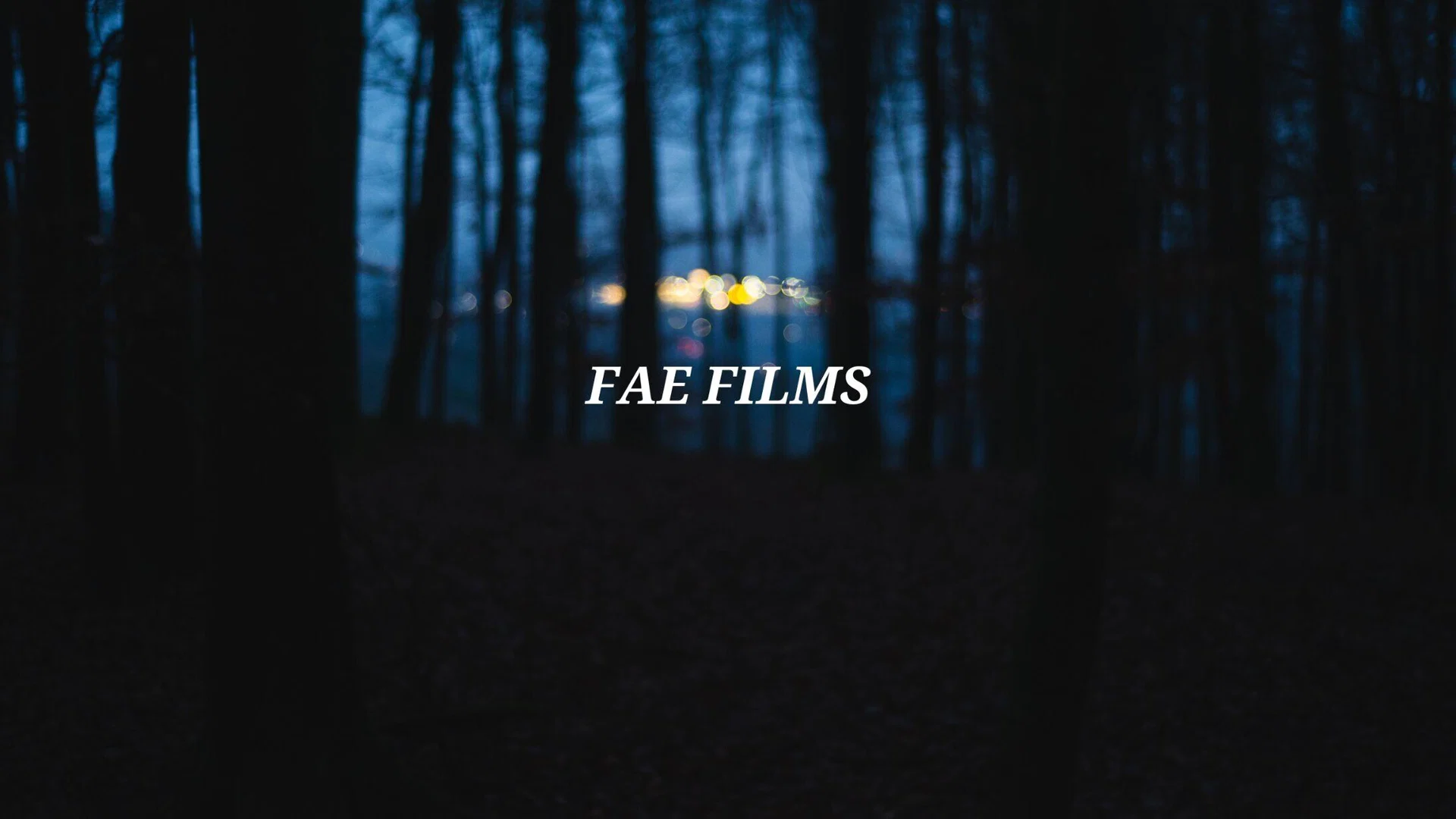 FAE FILMS profile banner