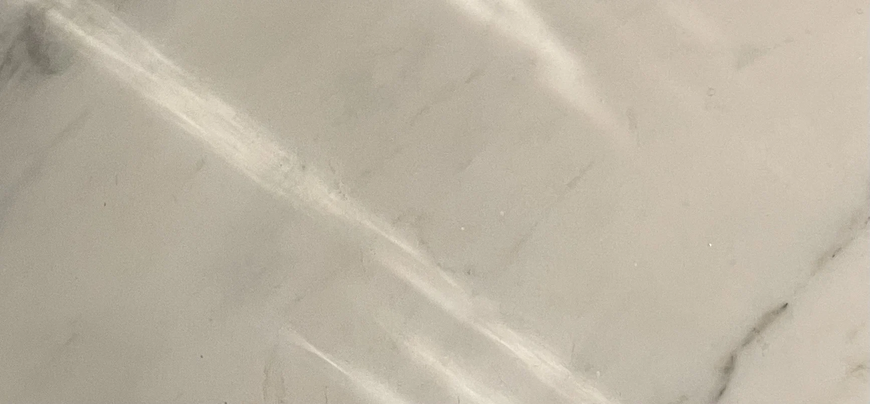 u186034469 profile banner