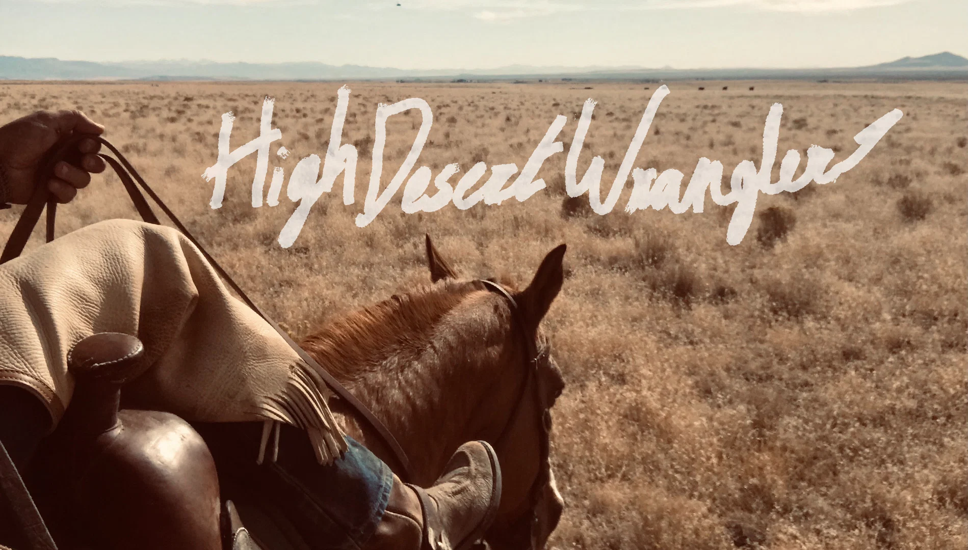 High Desert Wrangler profile banner
