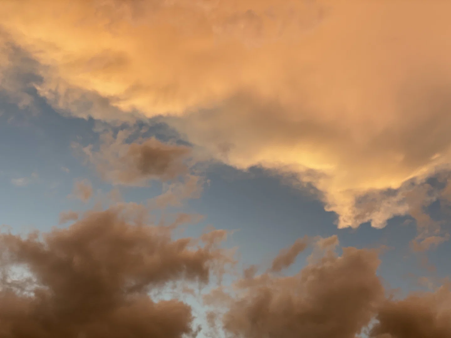 Jimmy Beans profile banner