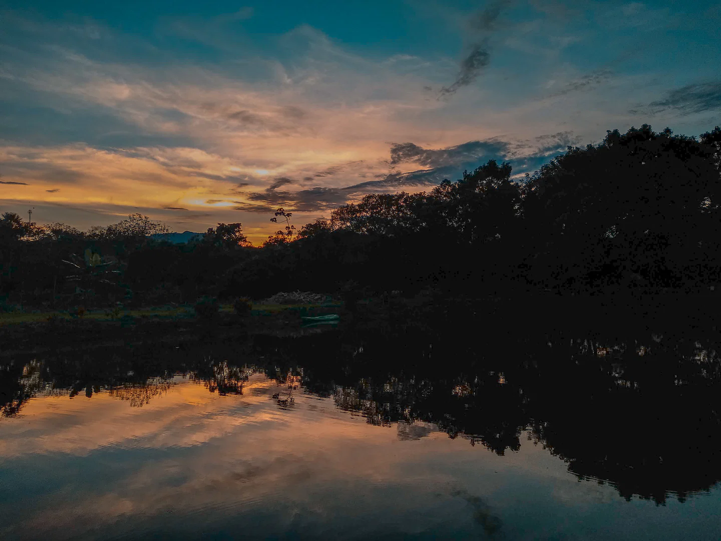 Adams profile banner