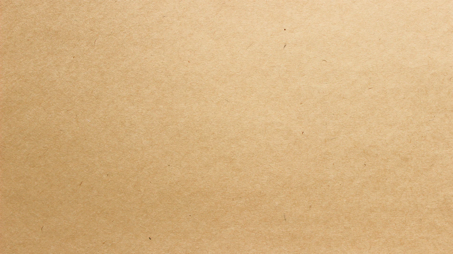 Anime Exlusives profile banner