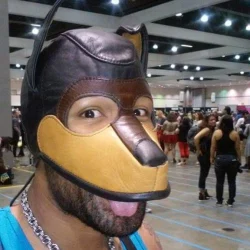 PupJcub's avatar
