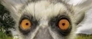 Grey profile banner