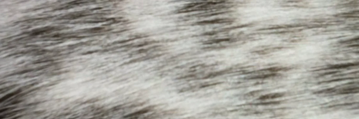 MrsOffKitty profile banner