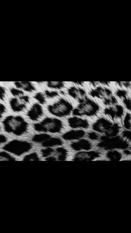 Gigi profile banner