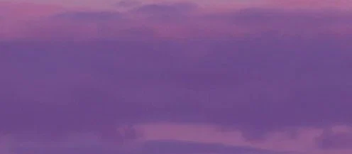 🖤Lily💜 profile banner