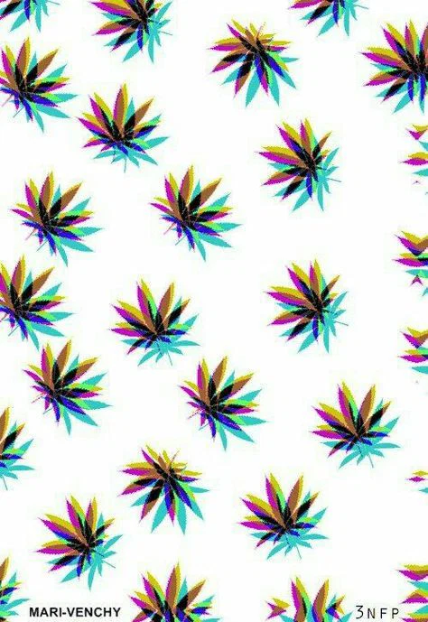 Terri profile banner