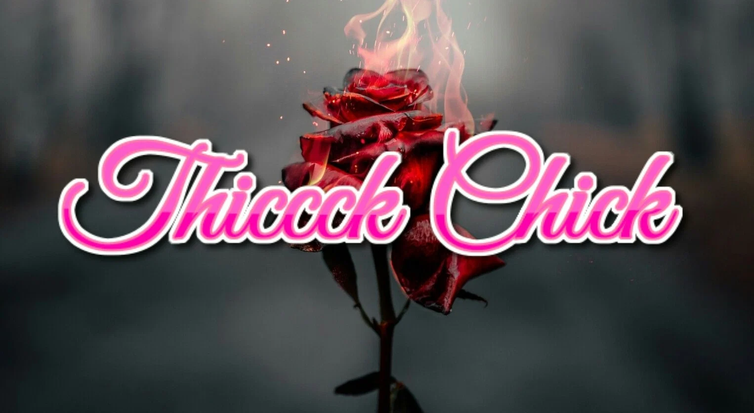 Thiccck Chick profile banner