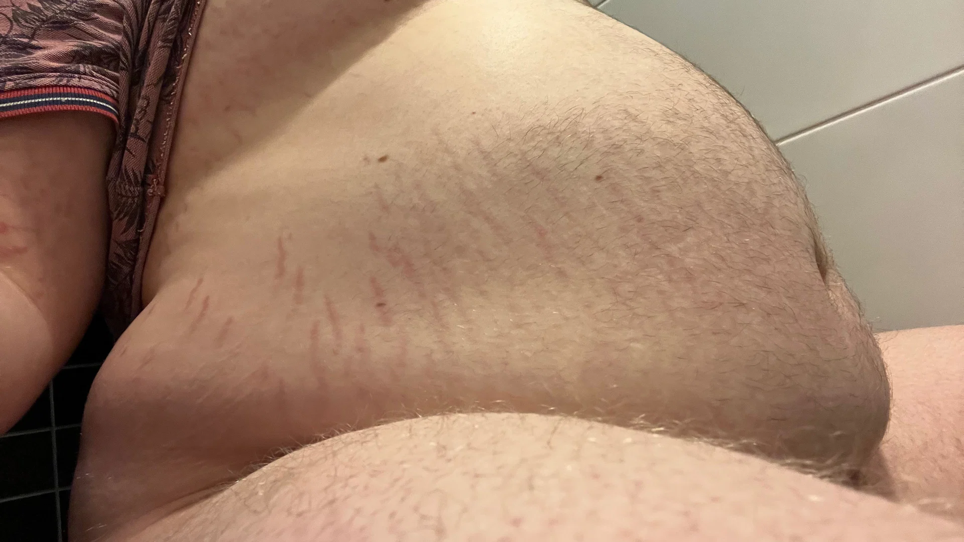 ChonkyBear98 profile banner