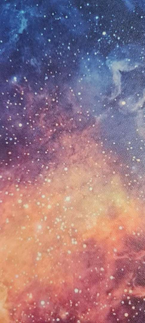 TheBustyBeauty profile banner