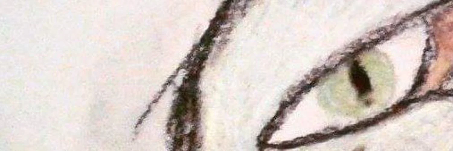 Sean P. Harper profile banner
