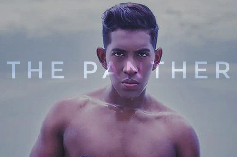 JRonny Panther profile banner