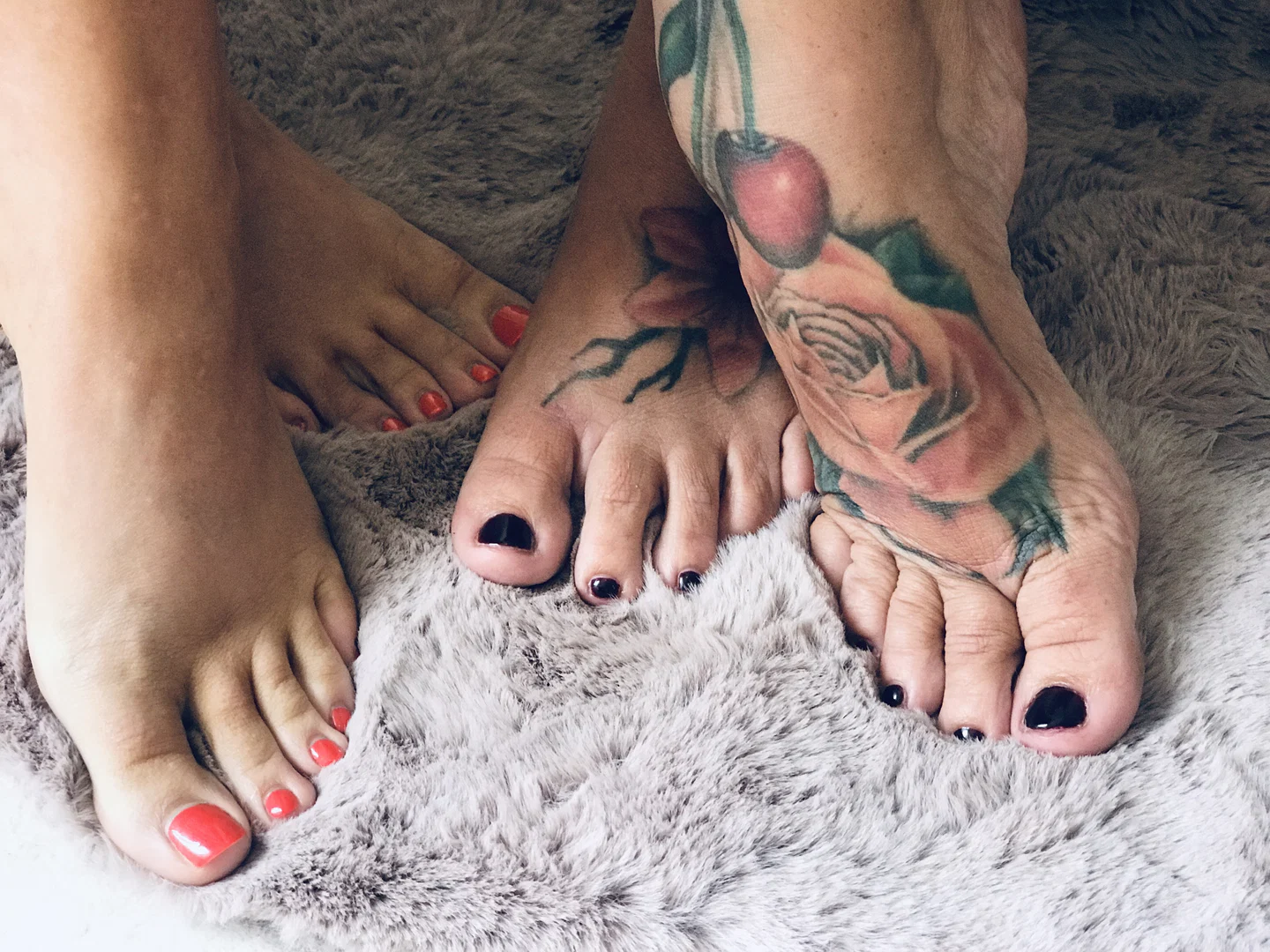 Tiptoe Sisters profile banner