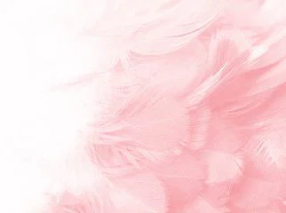 Jane Rocci profile banner