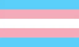Brooklyn profile banner