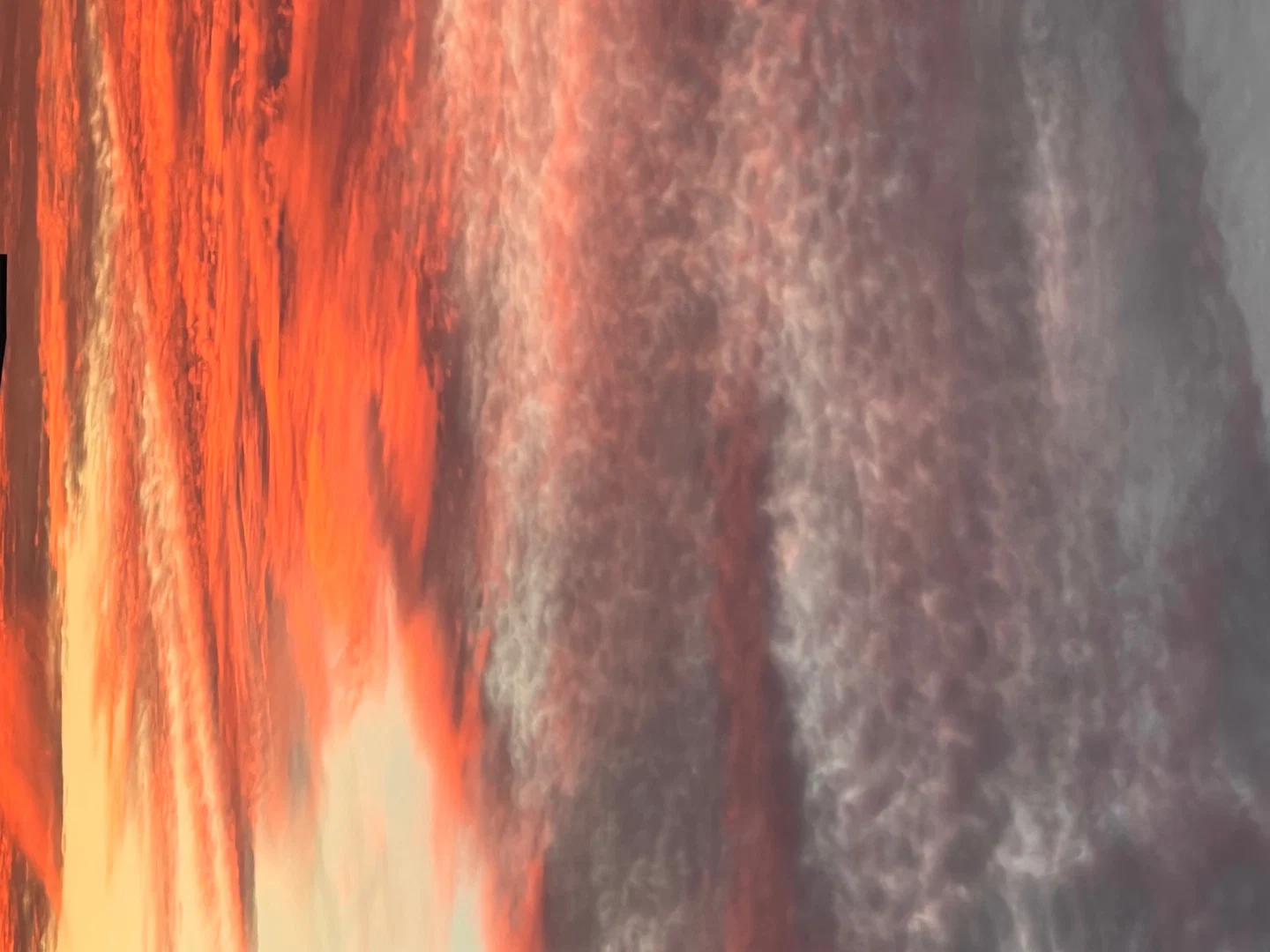 Savannah profile banner