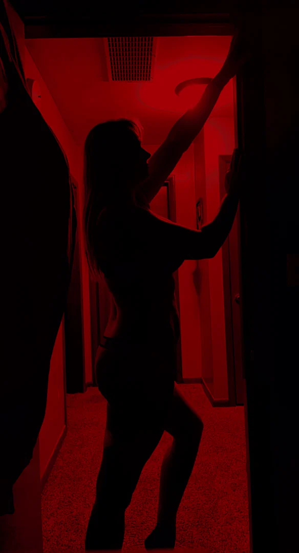 Lexi profile banner