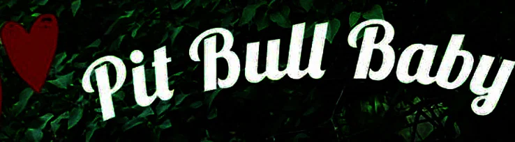 Pit Bull Baby profile banner