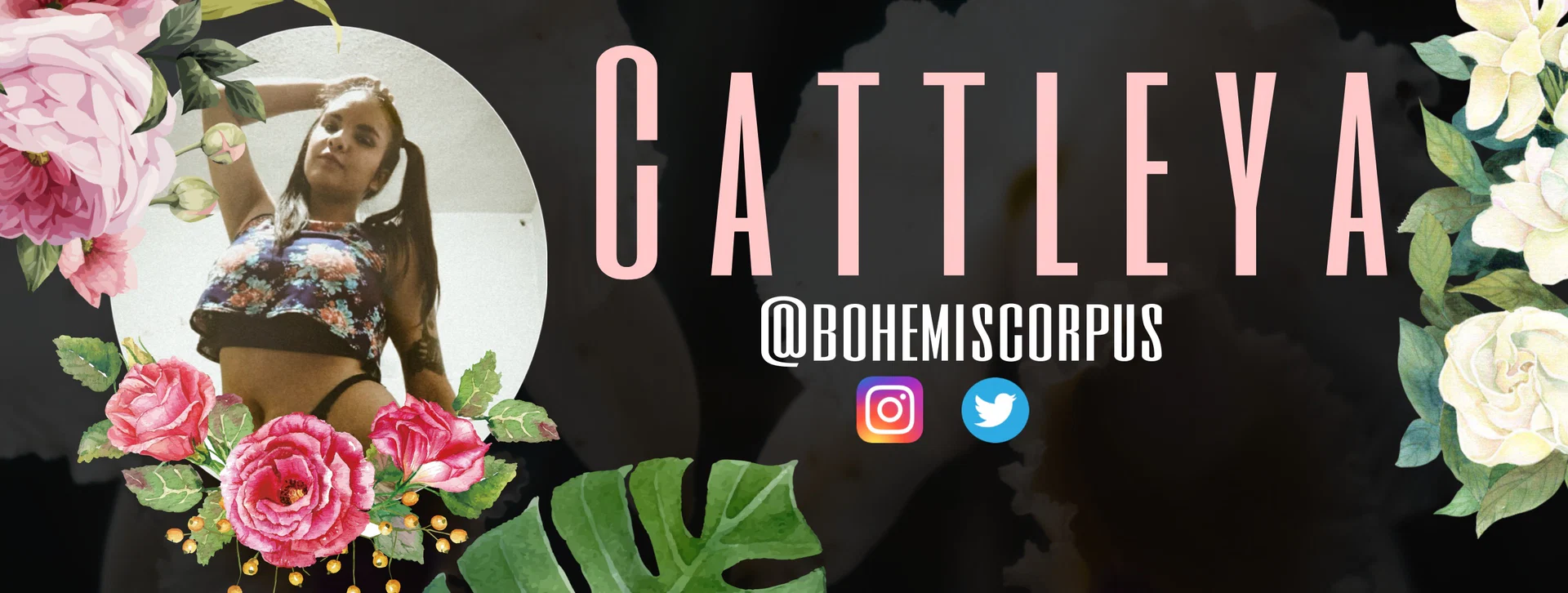 Cattleya L. profile banner