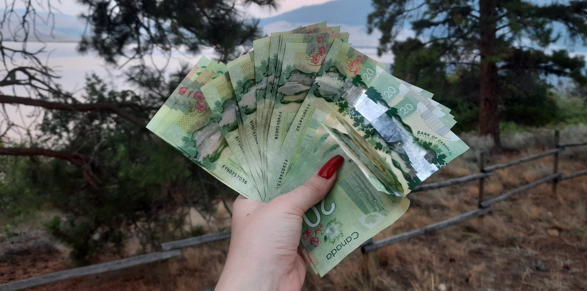 💸Mistress Bridget💸 profile banner