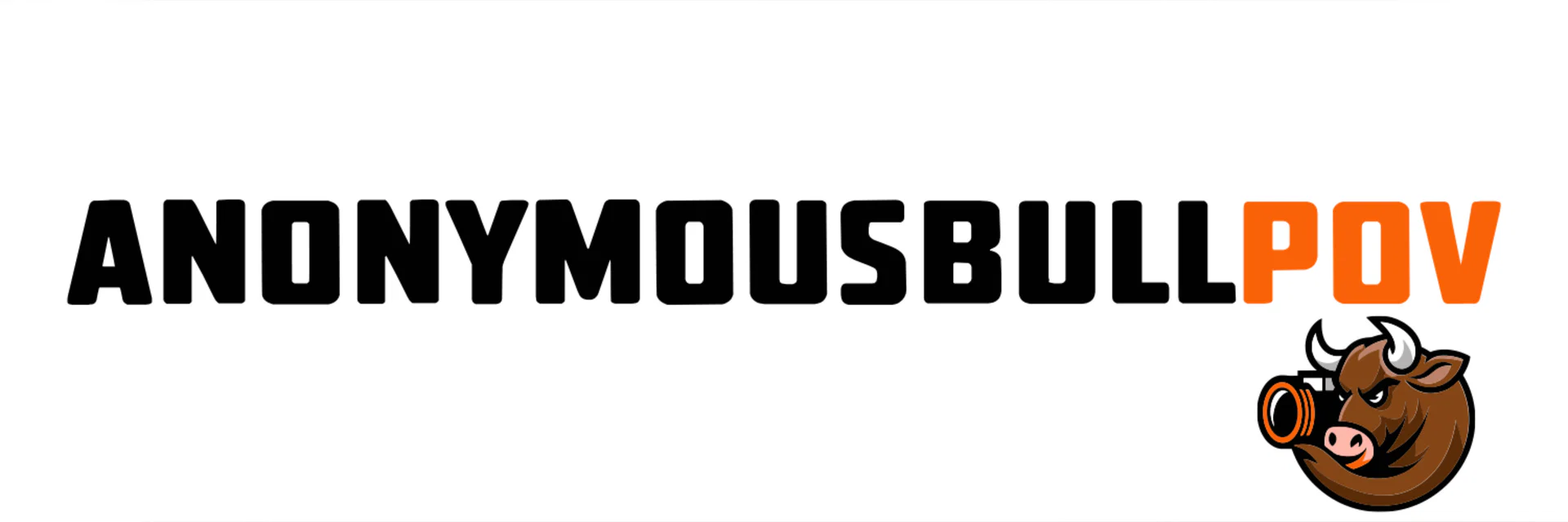 AnonymousBullPOV profile banner