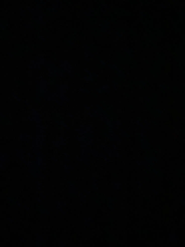 Evelyn profile banner