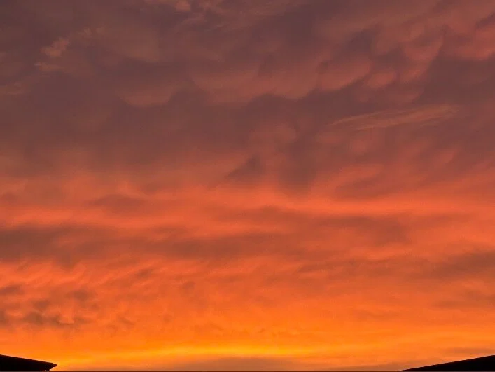 Jolie π profile banner