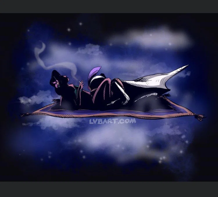 Princess profile banner