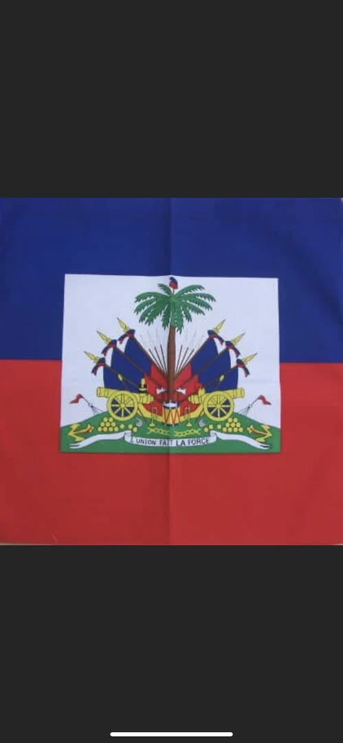 Haiti babe profile banner