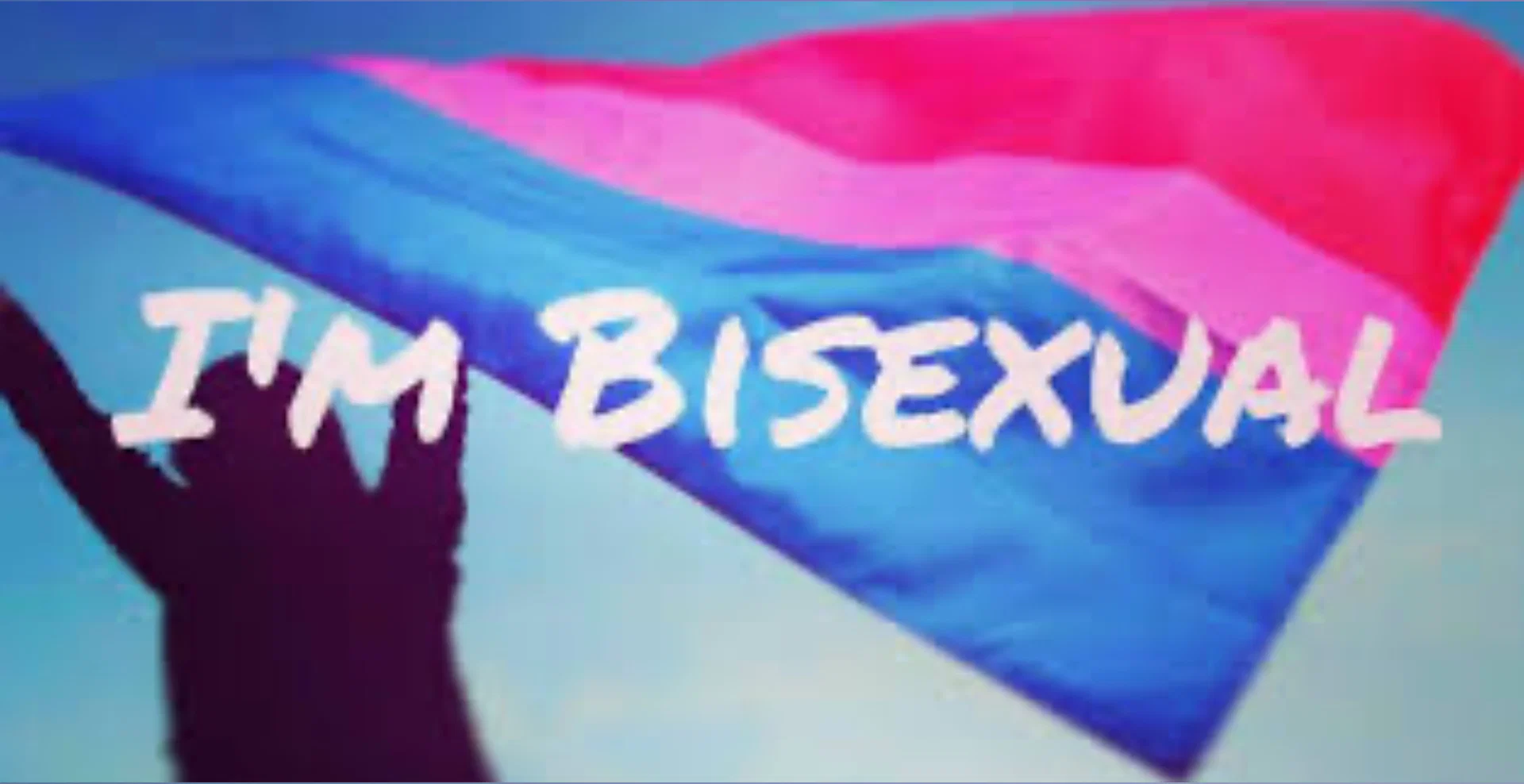 Bisexual Brad profile banner