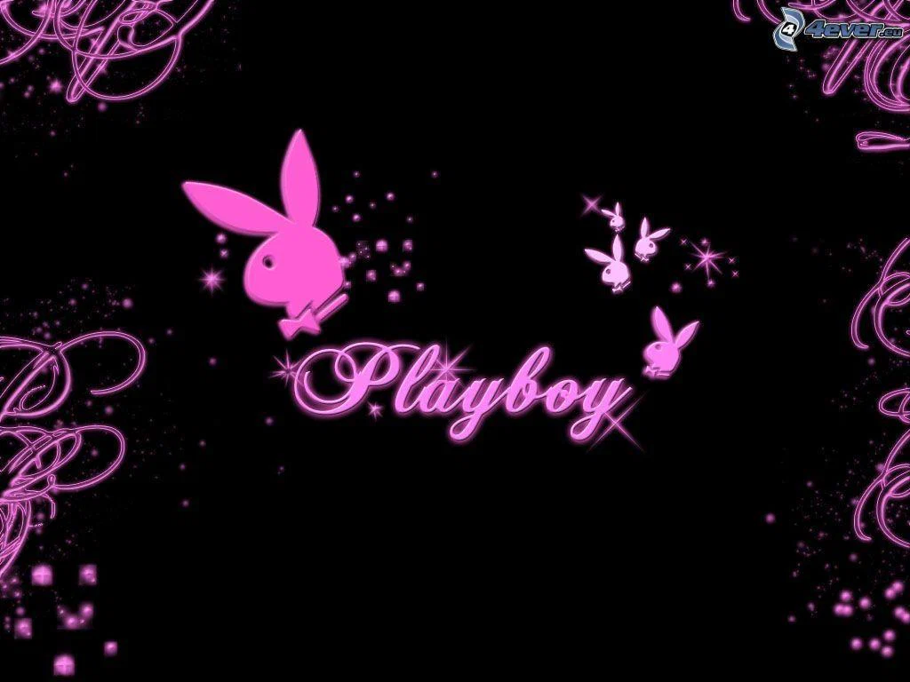 babii profile banner