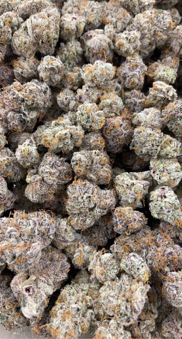 Indica Rain π¦ profile banner