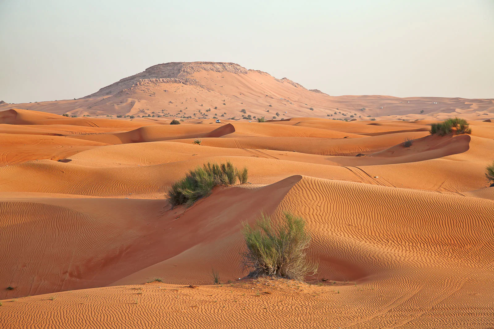 Horny Arab Men profile banner